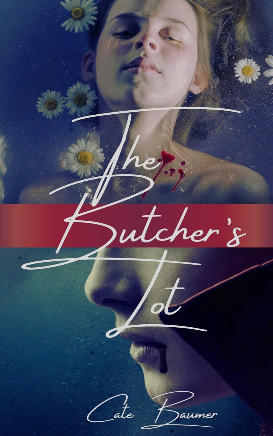 SFINCS3 Semifinalist Review: The Butcher’s Lot by Cate Baumer